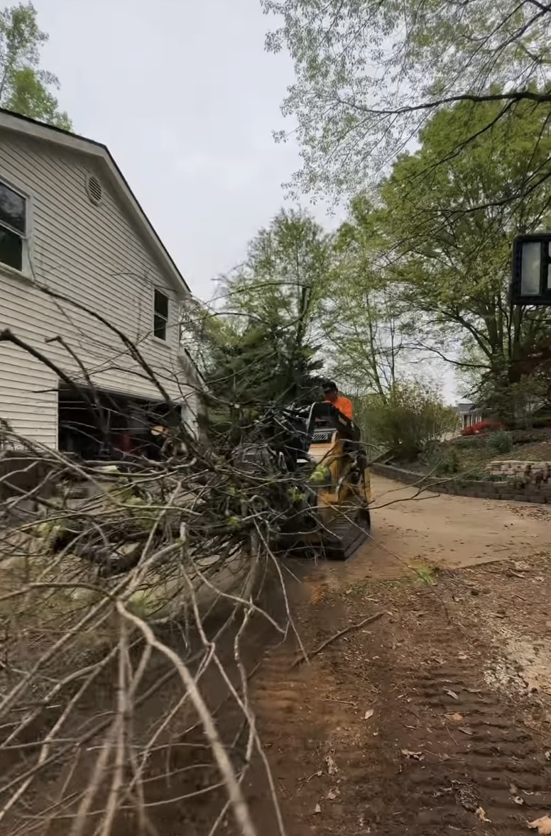 Emergency tree removal after storm damage in Portsmouth, VA