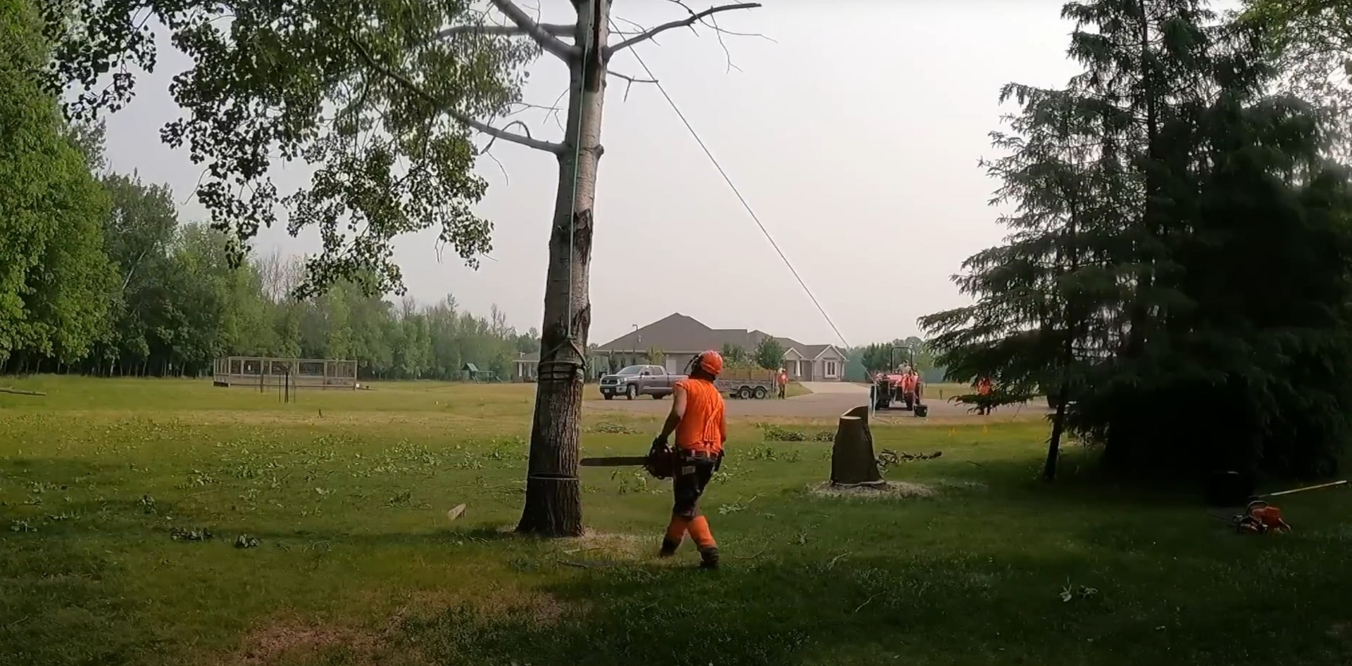 Safe Tree Removal Services - Portsmouth Tree Services Tree service professional performing safe tree removal in residential area