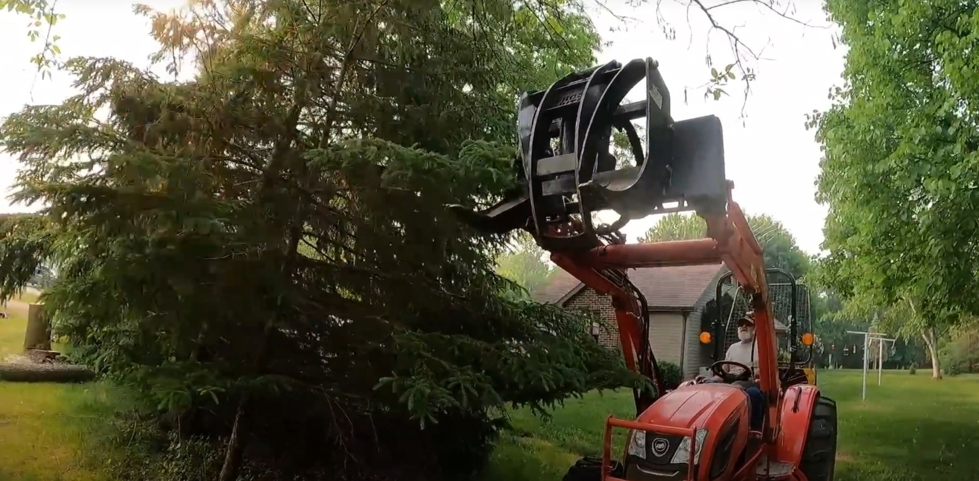 Tree trimming equipment and professional arborist at work