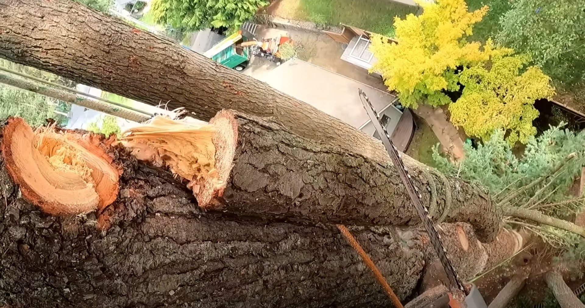 Professional Tree Cutting and Maintenance - Portsmouth Tree Services Close-up of freshly cut tree logs showing professional tree cutting technique