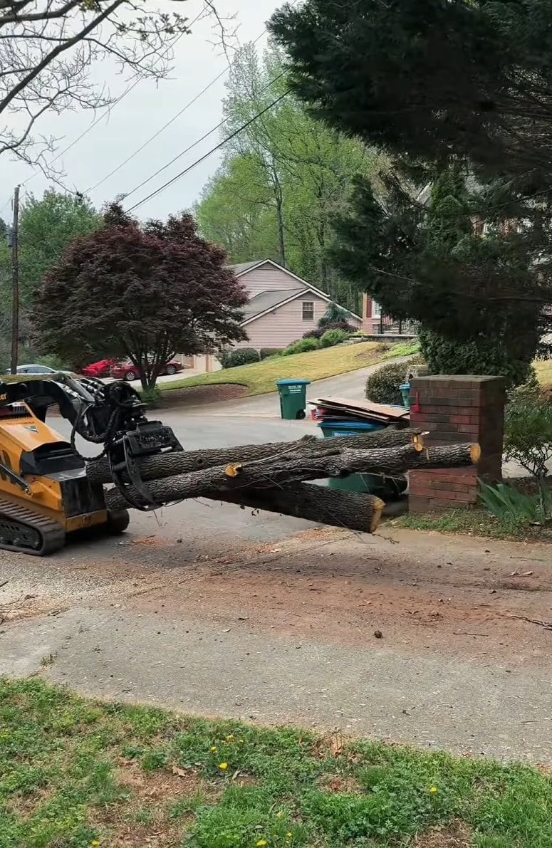 Tree removal equipment handling fallen tree emergency