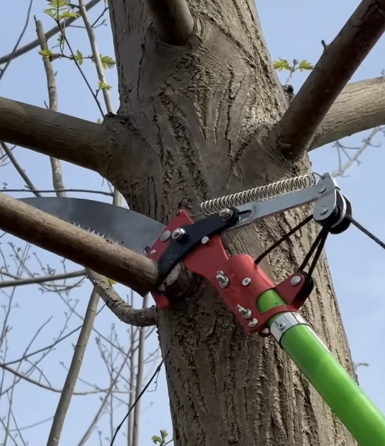 Professional Pruning Equipment - Portsmouth Tree Services Professional tree pruning saw for precise branch cutting