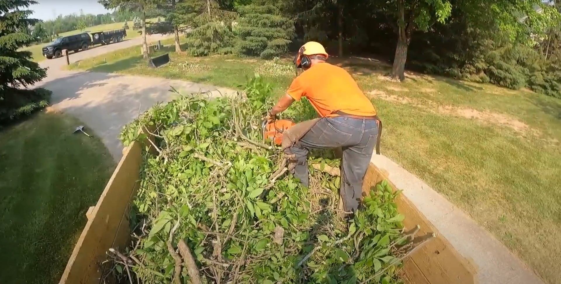 Professional tree trimming service in Portsmouth, VA