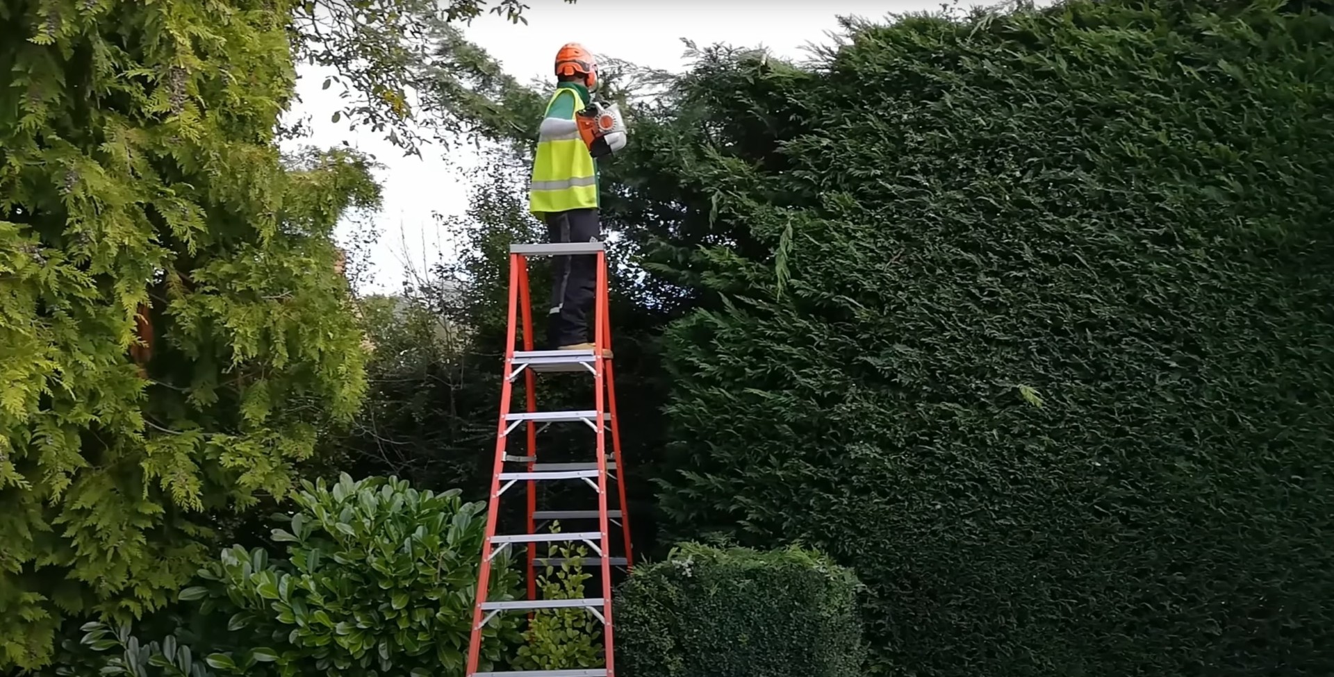 Professional Tree Trimming Services - Portsmouth Tree Services Arborist on ladder performing tree trimming and pruning services