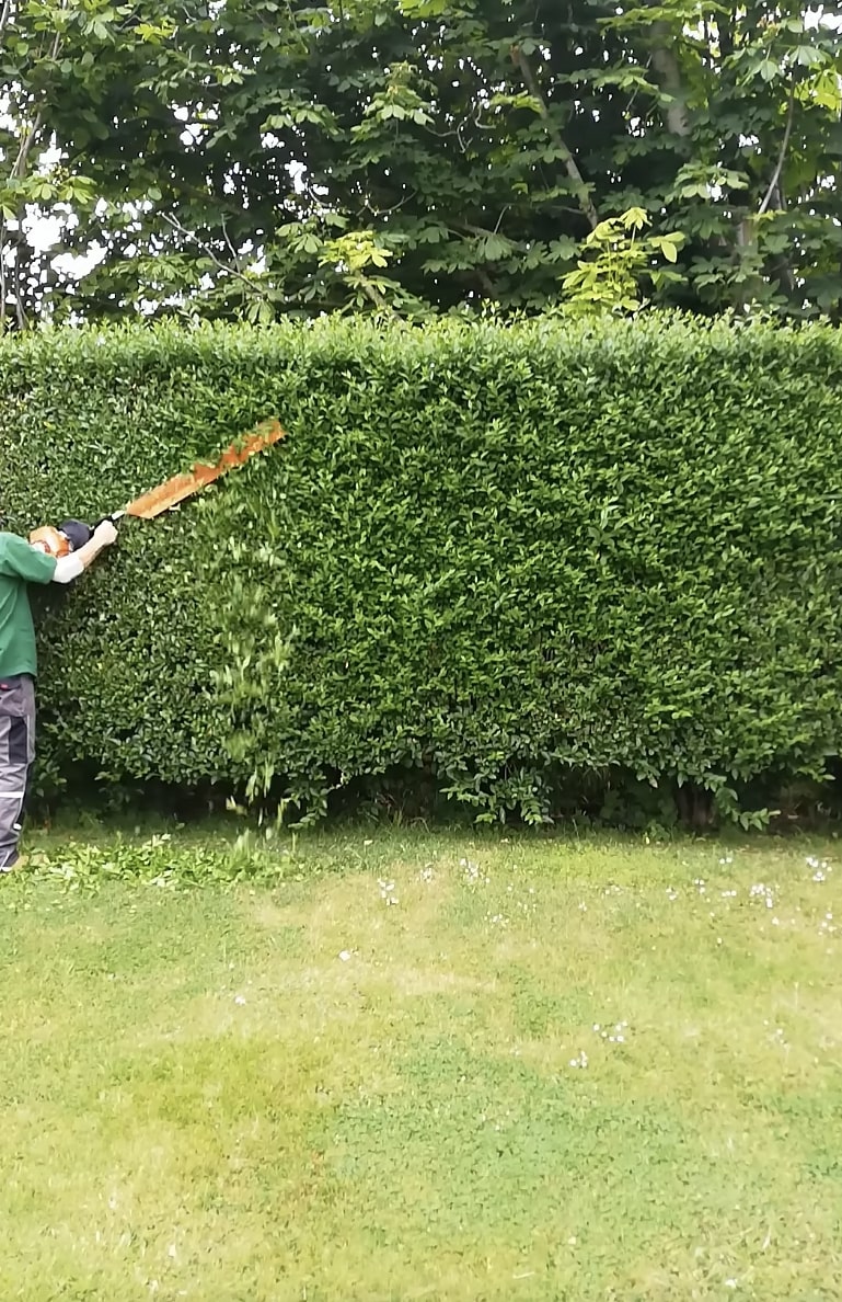 Hedge and Shrub Trimming - Portsmouth Tree Services Professional hedge trimming and shrub maintenance services