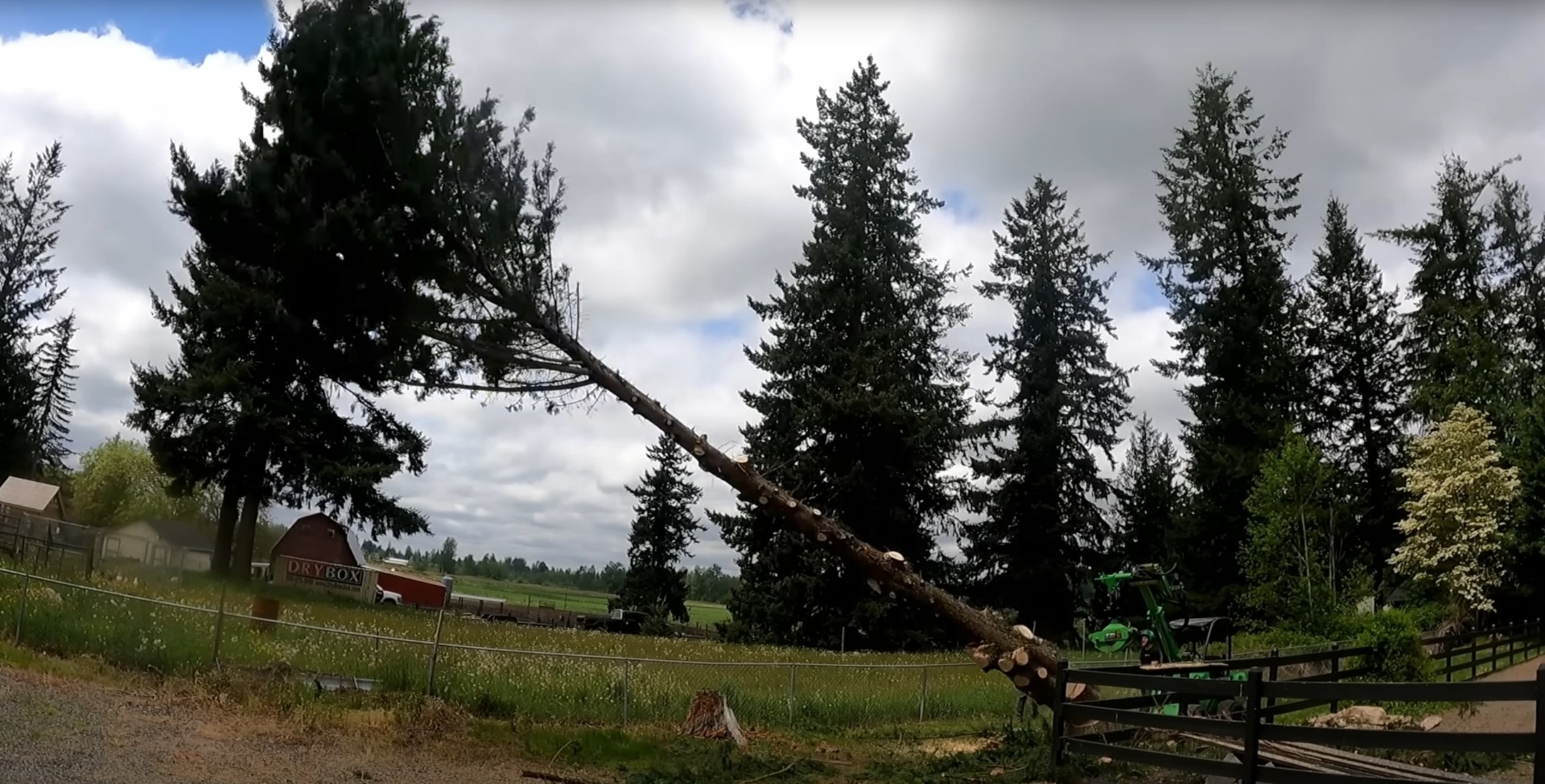 Emergency tree service for storm damaged trees in Portsmouth
