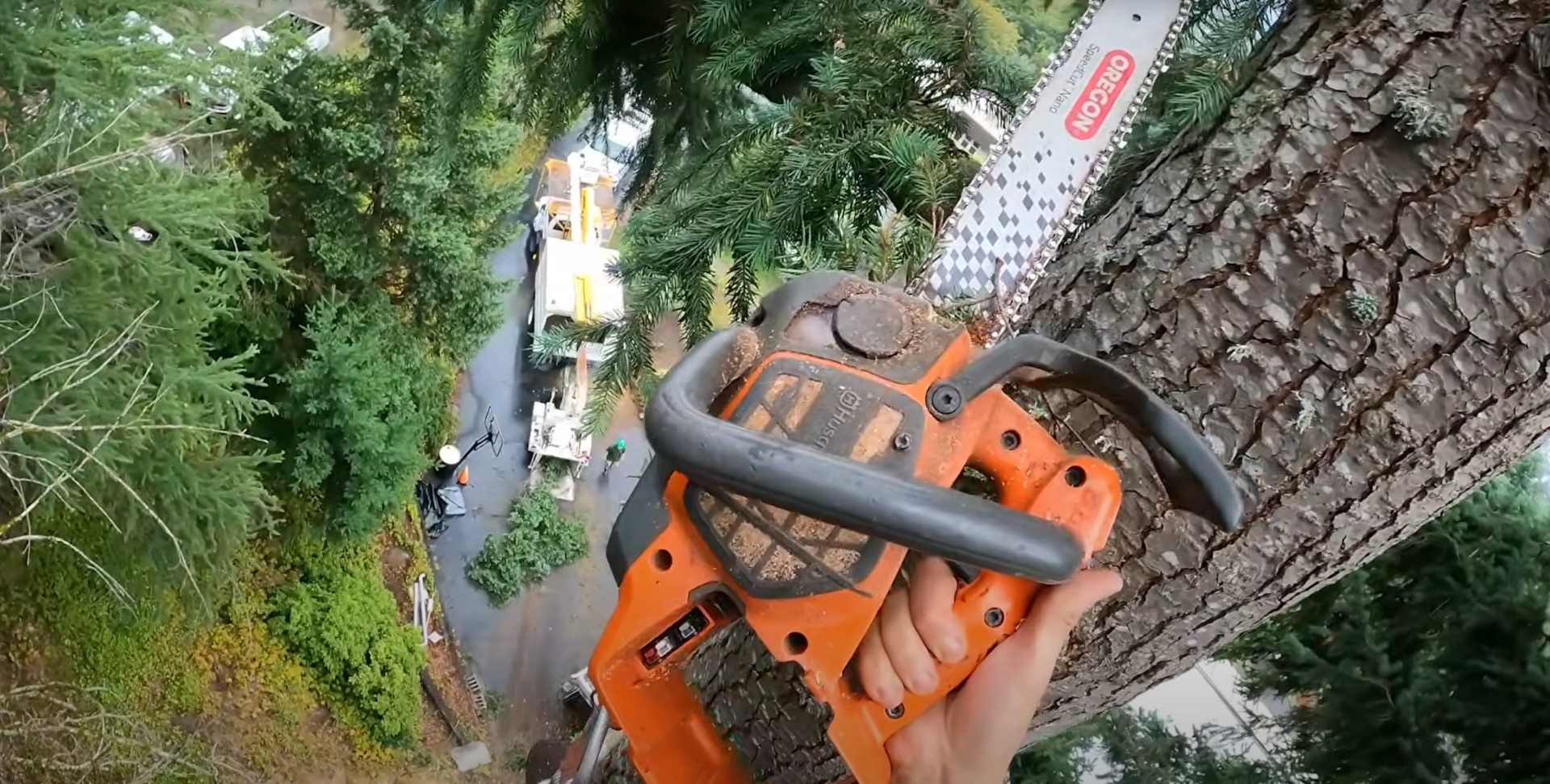 Professional Tree Cutting Equipment - Portsmouth Tree Services Professional chainsaw equipment for precise tree cutting
